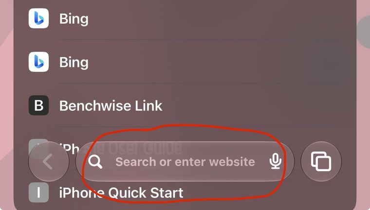 The Bookmarks list showing Benchwise Link, with the address bar circled